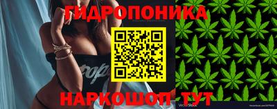 СК Кимры